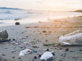 Plastic free: il riciclo non basta, la plastica va eliminata